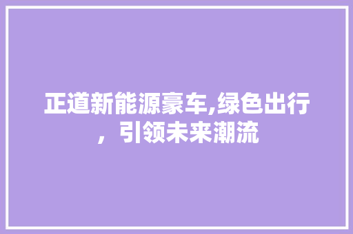 正道新能源豪车,绿色出行，引领未来潮流