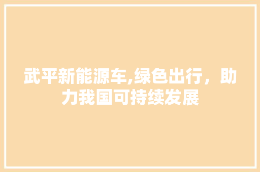 武平新能源车,绿色出行，助力我国可持续发展