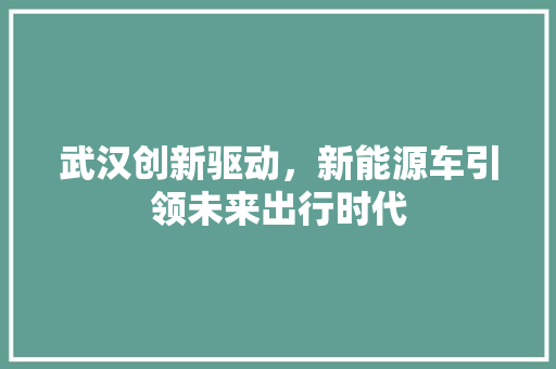 武汉创新驱动，新能源车引领未来出行时代