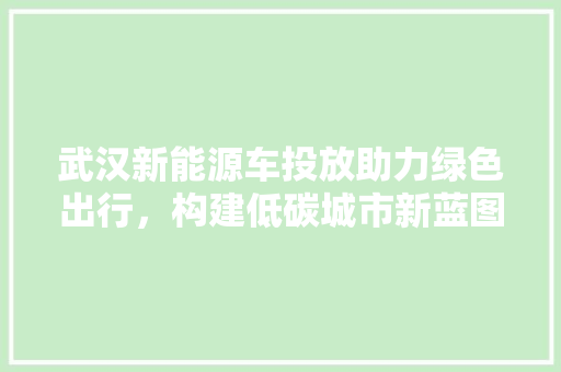 武汉新能源车投放助力绿色出行，构建低碳城市新蓝图