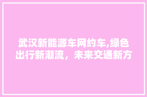 武汉新能源车网约车,绿色出行新潮流，未来交通新方向