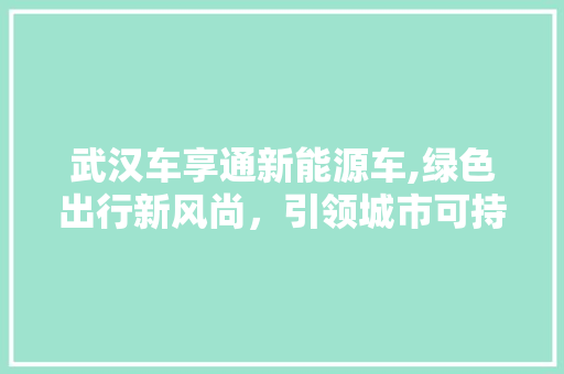 武汉车享通新能源车,绿色出行新风尚，引领城市可持续发展