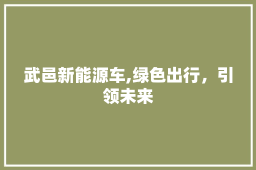 武邑新能源车,绿色出行，引领未来