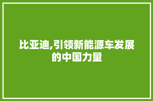 比亚迪,引领新能源车发展的中国力量