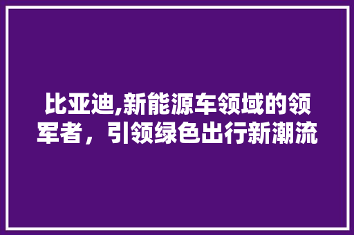 比亚迪,新能源车领域的领军者，引领绿色出行新潮流