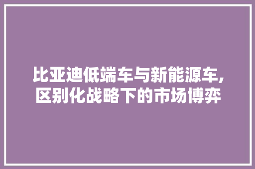 比亚迪低端车与新能源车,区别化战略下的市场博弈