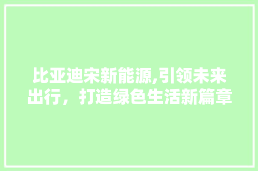 比亚迪宋新能源,引领未来出行，打造绿色生活新篇章