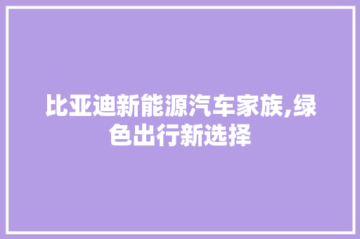 比亚迪新能源汽车家族,绿色出行新选择