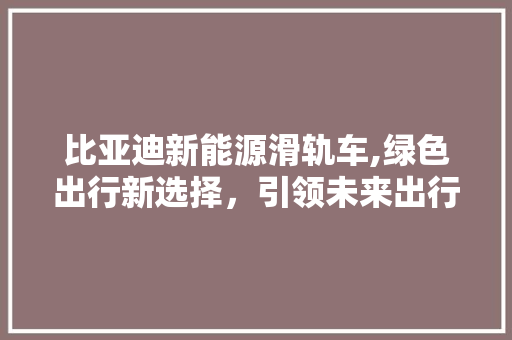 比亚迪新能源滑轨车,绿色出行新选择，引领未来出行潮流