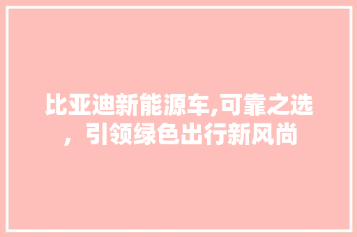 比亚迪新能源车,可靠之选，引领绿色出行新风尚