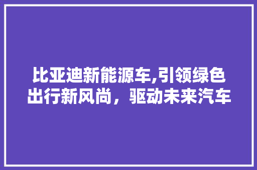 比亚迪新能源车,引领绿色出行新风尚，驱动未来汽车革命