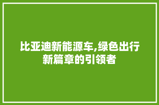 比亚迪新能源车,绿色出行新篇章的引领者