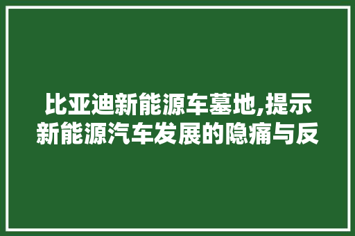比亚迪新能源车墓地,提示新能源汽车发展的隐痛与反思