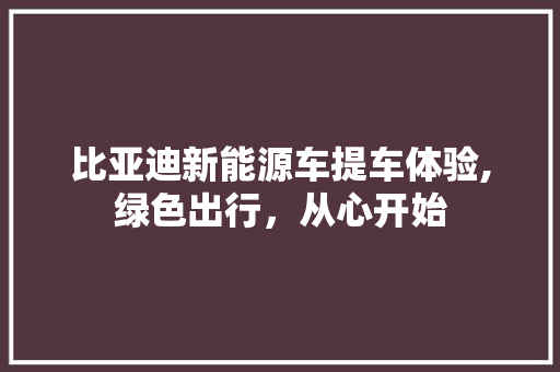 比亚迪新能源车提车体验,绿色出行，从心开始