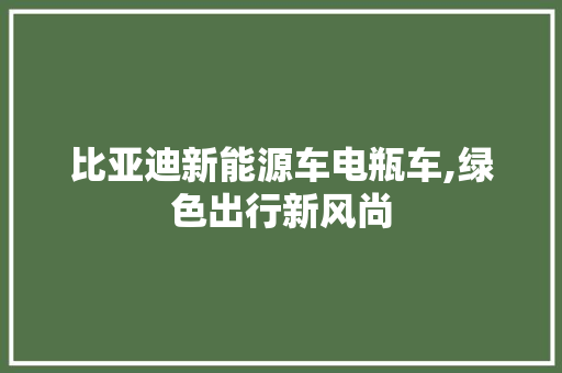 比亚迪新能源车电瓶车,绿色出行新风尚