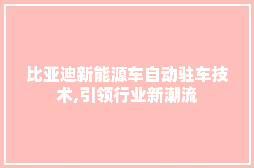 比亚迪新能源车自动驻车技术,引领行业新潮流