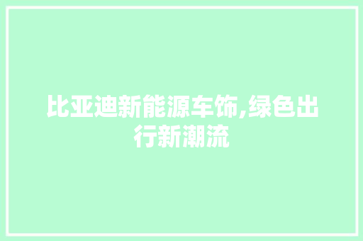 比亚迪新能源车饰,绿色出行新潮流
