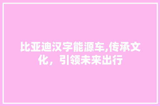比亚迪汉字能源车,传承文化，引领未来出行
