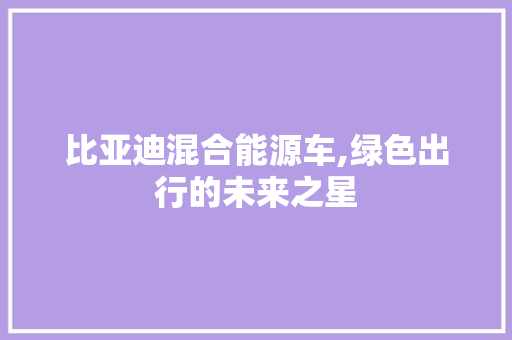 比亚迪混合能源车,绿色出行的未来之星