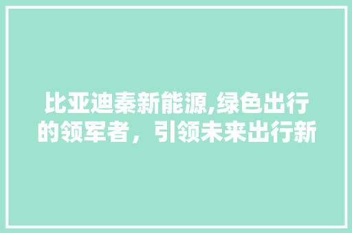比亚迪秦新能源,绿色出行的领军者，引领未来出行新风尚