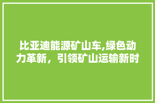 比亚迪能源矿山车,绿色动力革新，引领矿山运输新时代