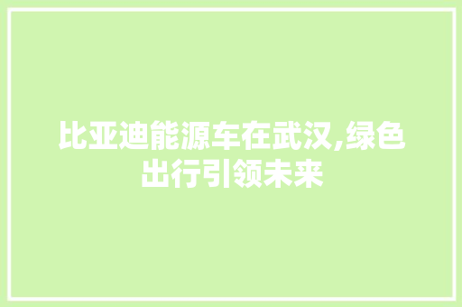 比亚迪能源车在武汉,绿色出行引领未来