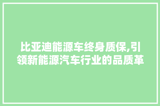 比亚迪能源车终身质保,引领新能源汽车行业的品质革命