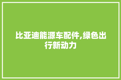 比亚迪能源车配件,绿色出行新动力