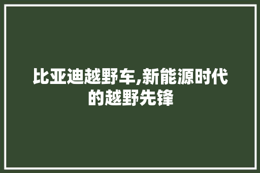 比亚迪越野车,新能源时代的越野先锋