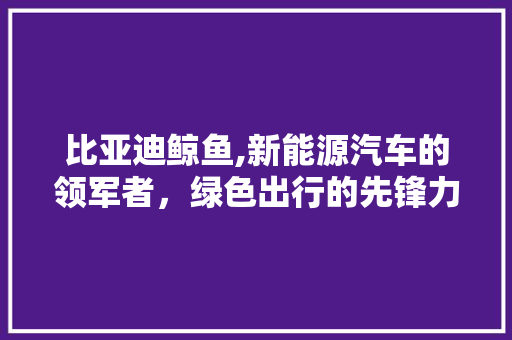 比亚迪鲸鱼,新能源汽车的领军者，绿色出行的先锋力量