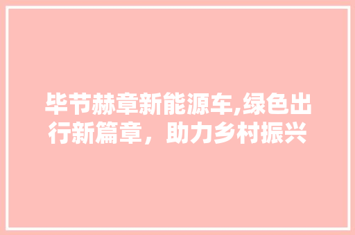 毕节赫章新能源车,绿色出行新篇章，助力乡村振兴