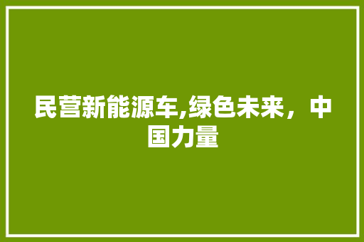 民营新能源车,绿色未来，中国力量