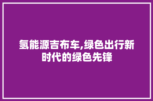氢能源吉布车,绿色出行新时代的绿色先锋