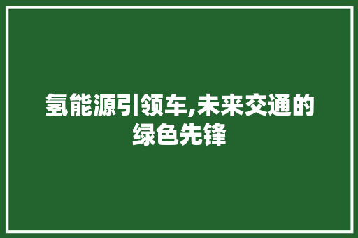 氢能源引领车,未来交通的绿色先锋