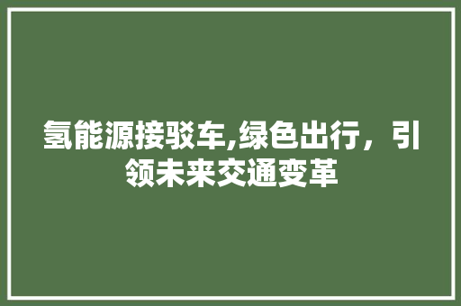 氢能源接驳车,绿色出行，引领未来交通变革