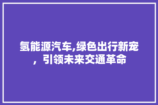 氢能源汽车,绿色出行新宠，引领未来交通革命