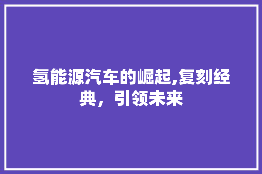 氢能源汽车的崛起,复刻经典，引领未来