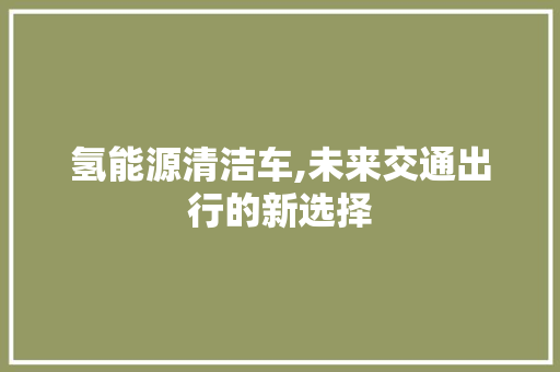 氢能源清洁车,未来交通出行的新选择