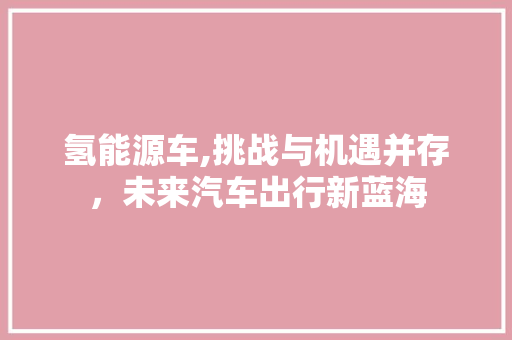 氢能源车,挑战与机遇并存，未来汽车出行新蓝海