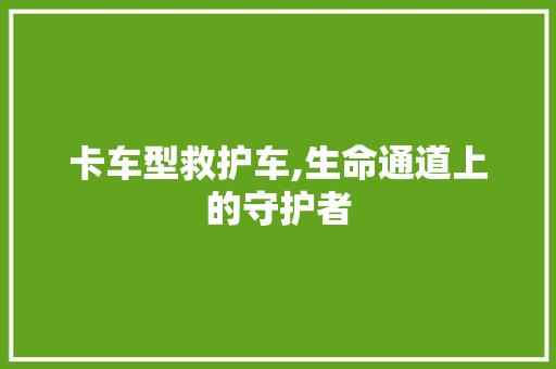 卡车型救护车,生命通道上的守护者