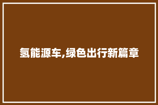 氢能源车,绿色出行新篇章