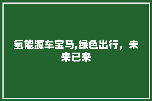 氢能源车宝马,绿色出行，未来已来