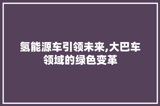 氢能源车引领未来,大巴车领域的绿色变革
