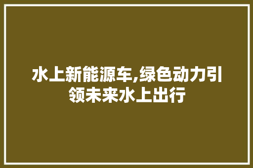 水上新能源车,绿色动力引领未来水上出行
