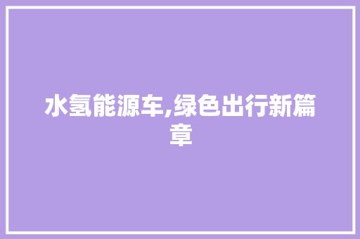 水氢能源车,绿色出行新篇章