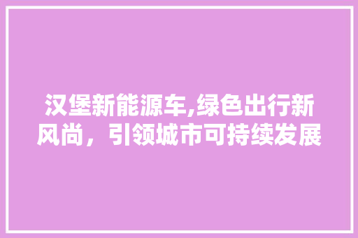 汉堡新能源车,绿色出行新风尚，引领城市可持续发展