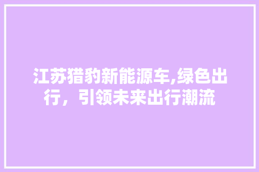 江苏猎豹新能源车,绿色出行，引领未来出行潮流