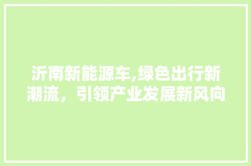沂南新能源车,绿色出行新潮流，引领产业发展新风向