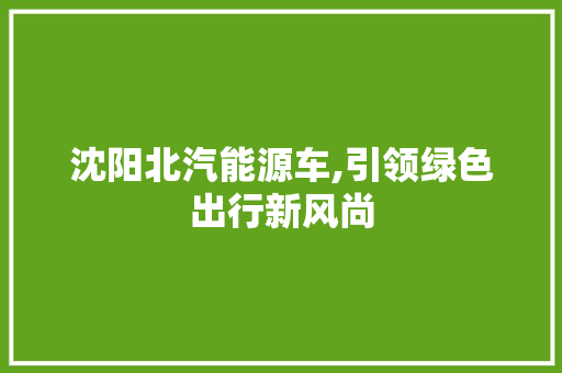 沈阳北汽能源车,引领绿色出行新风尚