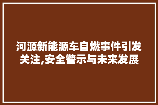 河源新能源车自燃事件引发关注,安全警示与未来发展思考